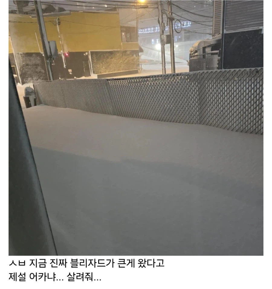 블리자드 큰 거 온다_2.webp