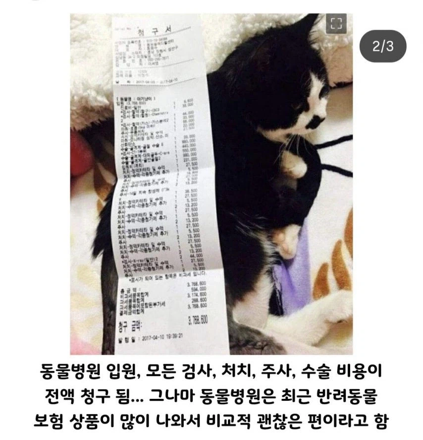 한국에서 민영화 체험할 수 있는 곳.jpg_2.webp