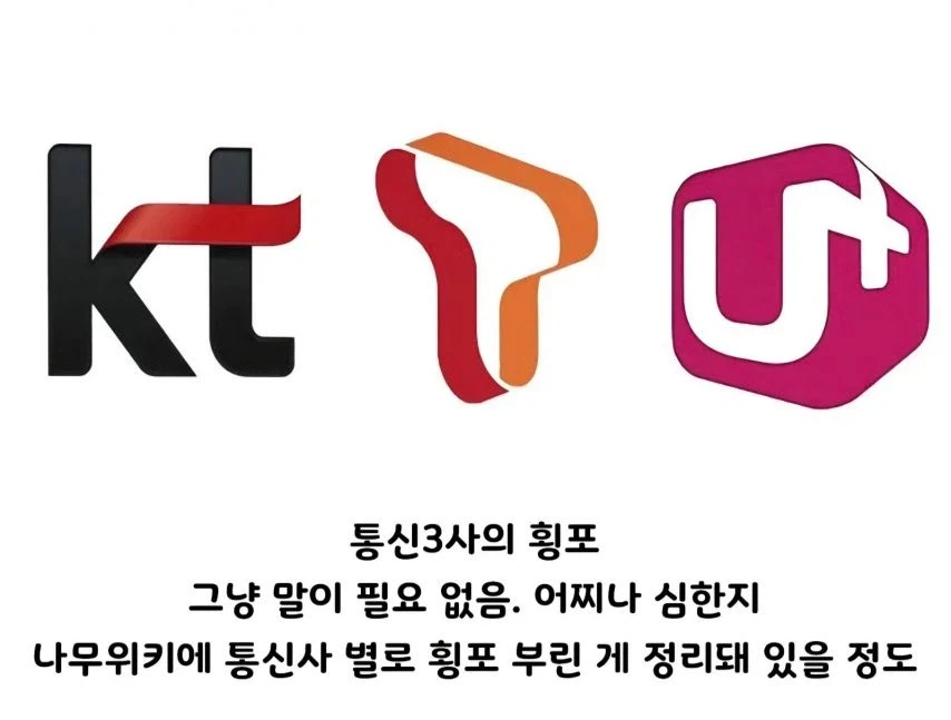 한국에서 민영화 체험할 수 있는 곳.jpg_3.webp