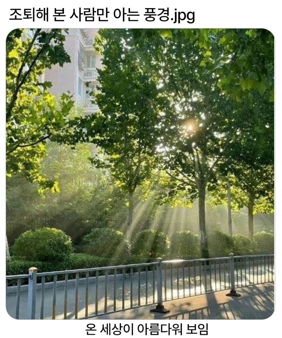 조퇴했을때 특징_1.webp