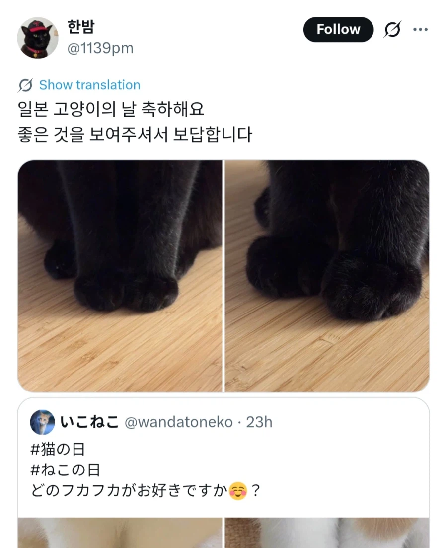 고양이) 한 일 우 호_2.webp