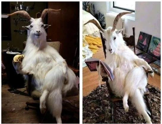 에바) 새시리즈 감독이 안노가 아니라고????_1.webp