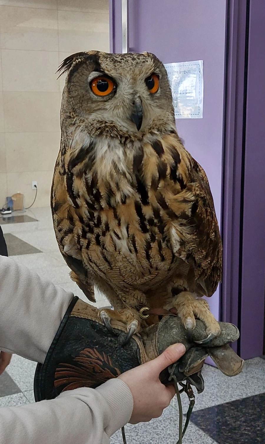 퍼리조아가서 경험한것_1.webp