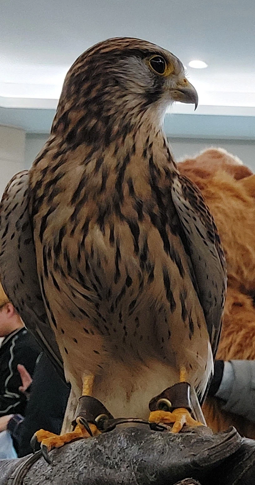 퍼리조아가서 경험한것_2.webp