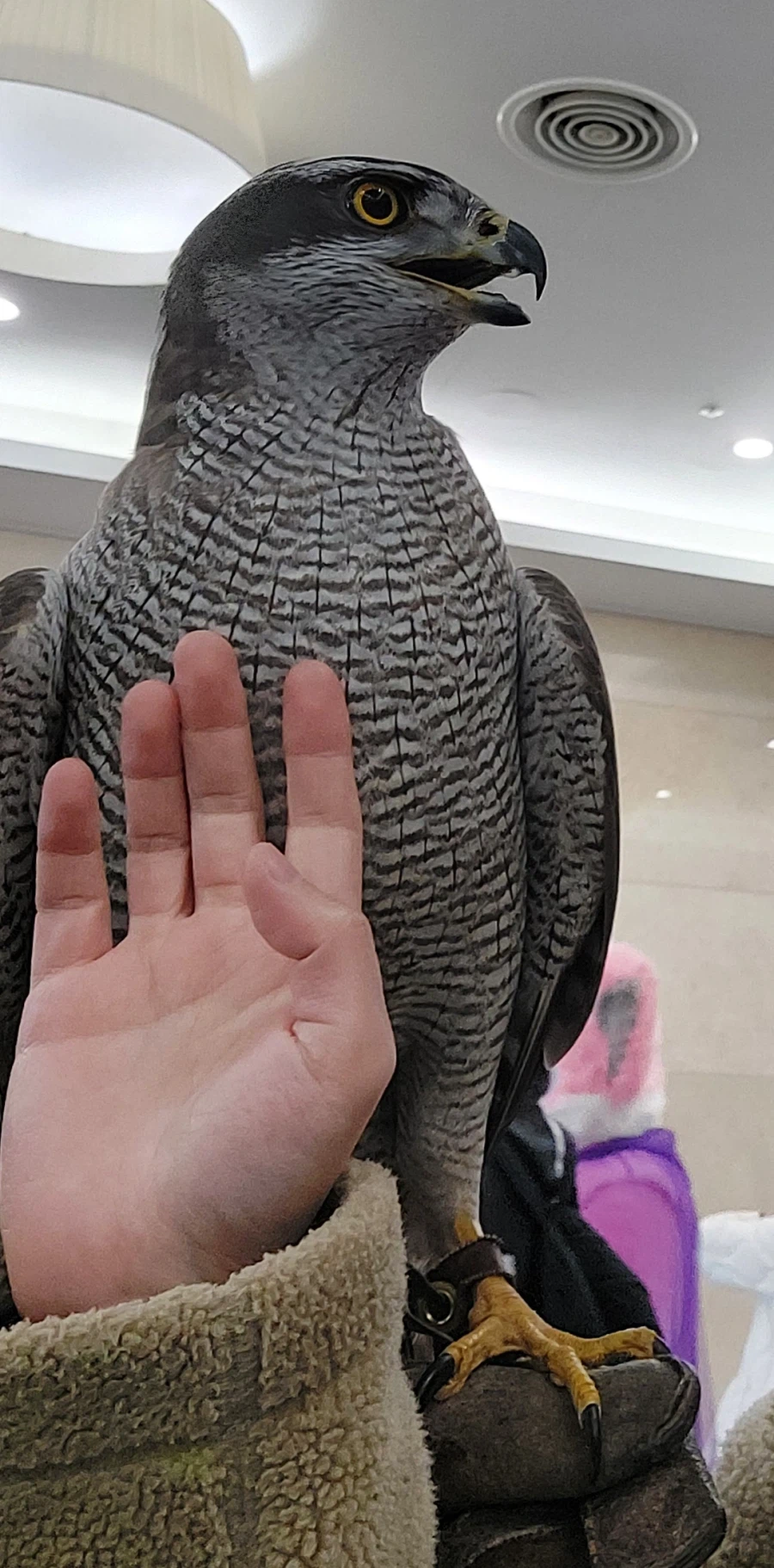 퍼리조아가서 경험한것_3.webp