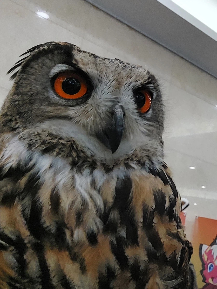 퍼리조아가서 경험한것_4.webp