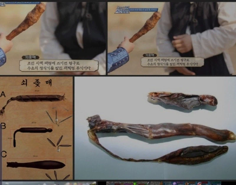 의외로 형벌에 쓰이던 도구 jpg_1.webp