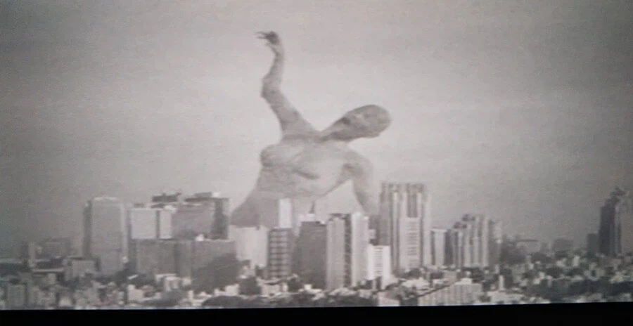 요코오 타로를 솔직히 조심은 해야하는 이유가_4.webp