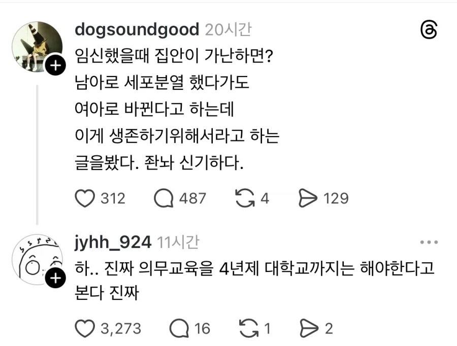 임신했을 때 집안이 가난하면 여아로 태어난다.jpg_1.webp