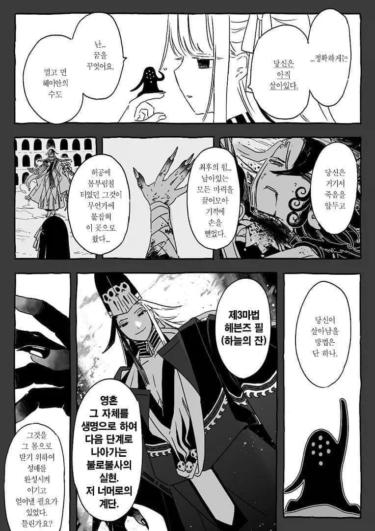 페이트) 도만이 비스트가 되기 위해 만든 포트폴리오_9.webp