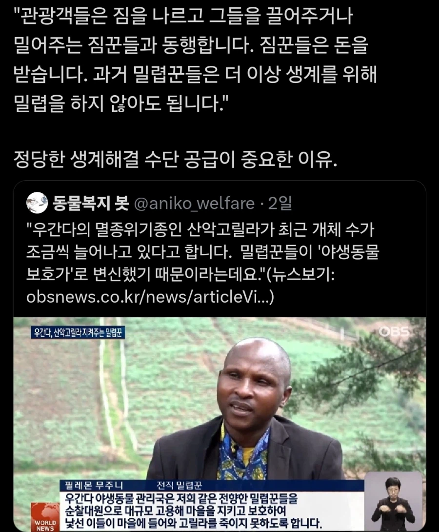 ?? : 고릴라는 돈이 된다_1.webp