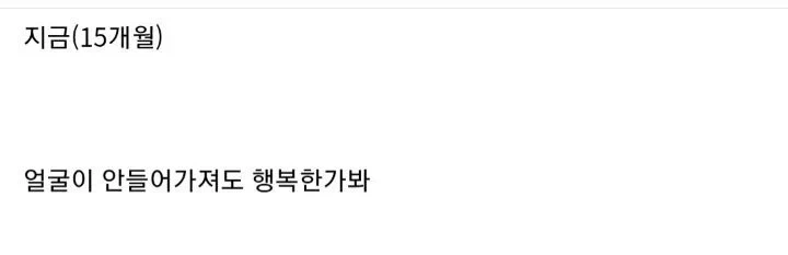 애착선반에서 자는 골든리트리버_4.webp