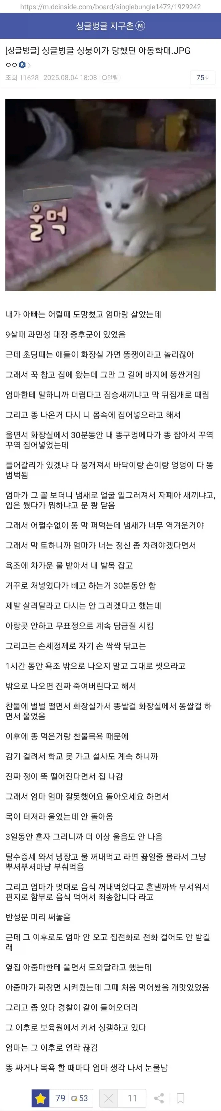 훌쩍훌쩍 싱글벙글 갤러가 당한 아동학대._1.webp