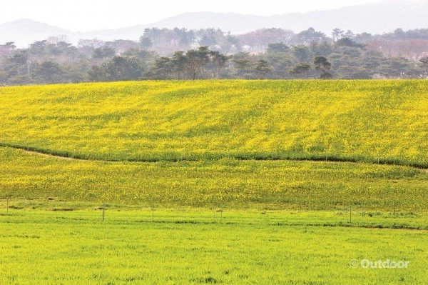 한국 자연 풍광 사진_1.webp