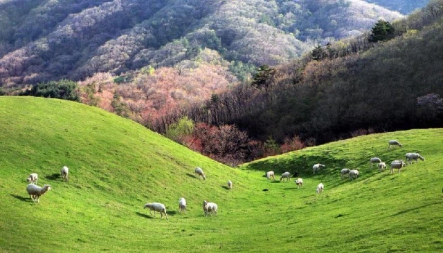 한국 자연 풍광 사진_2.webp