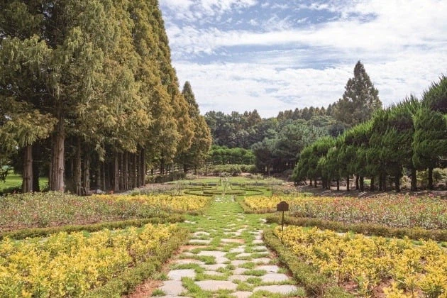 한국 자연 풍광 사진_4.webp