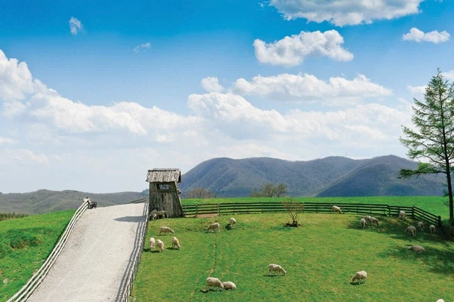 한국 자연 풍광 사진_6.webp