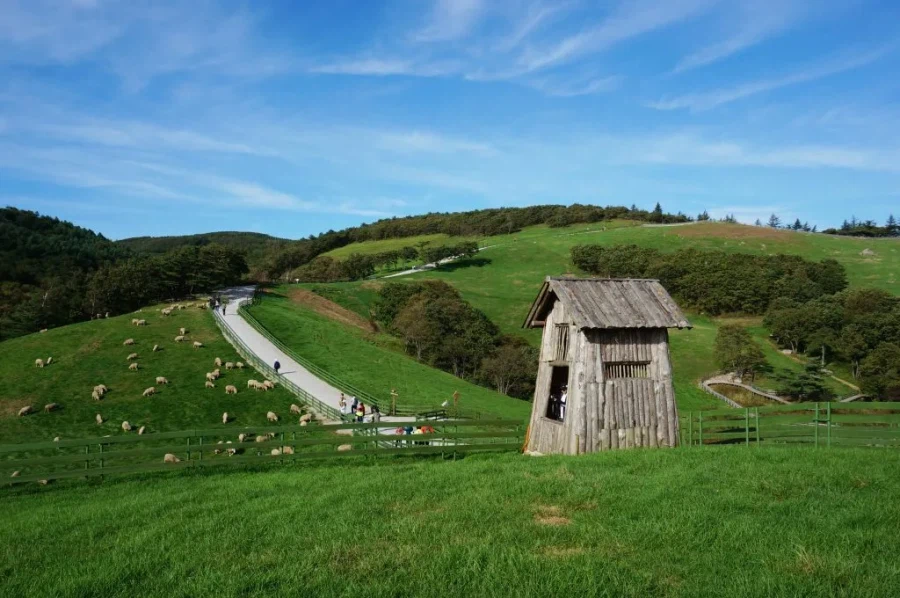 한국 자연 풍광 사진_8.webp