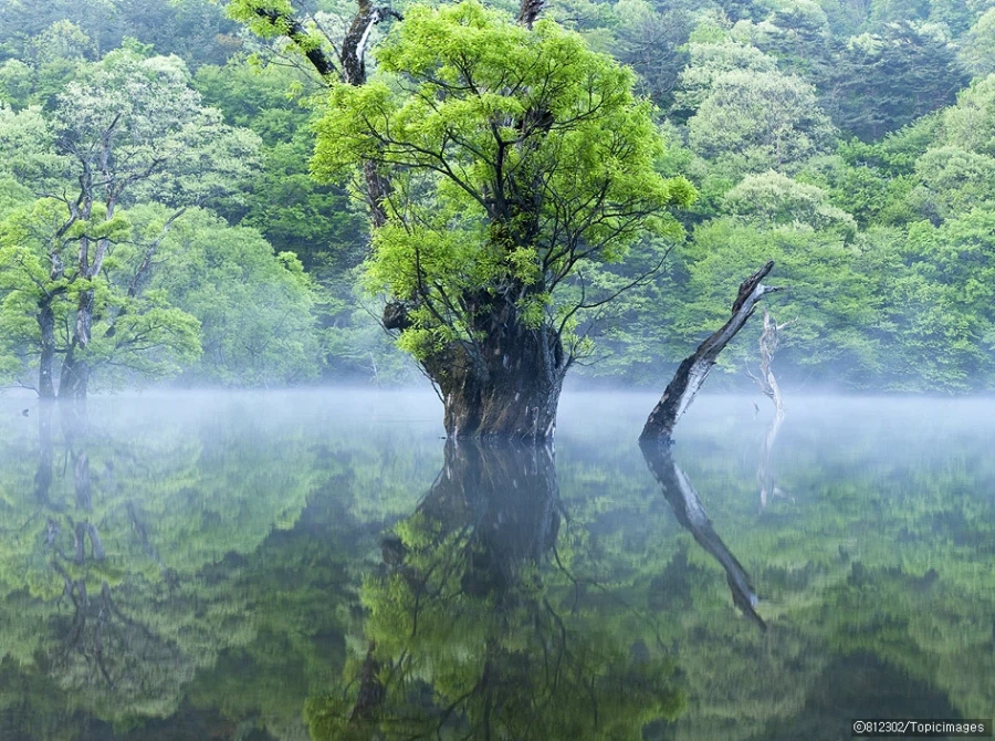 한국 자연 풍광 사진_12.webp