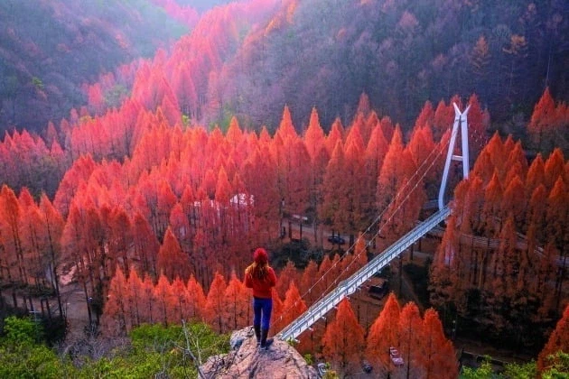 한국 자연 풍광 사진_14.webp