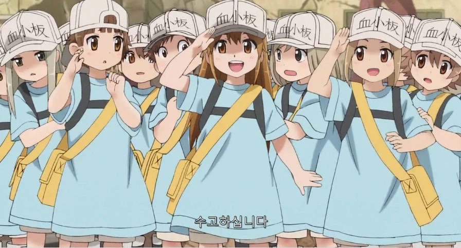 상처치료 과정에 대해 알아보자.jpg_1.webp