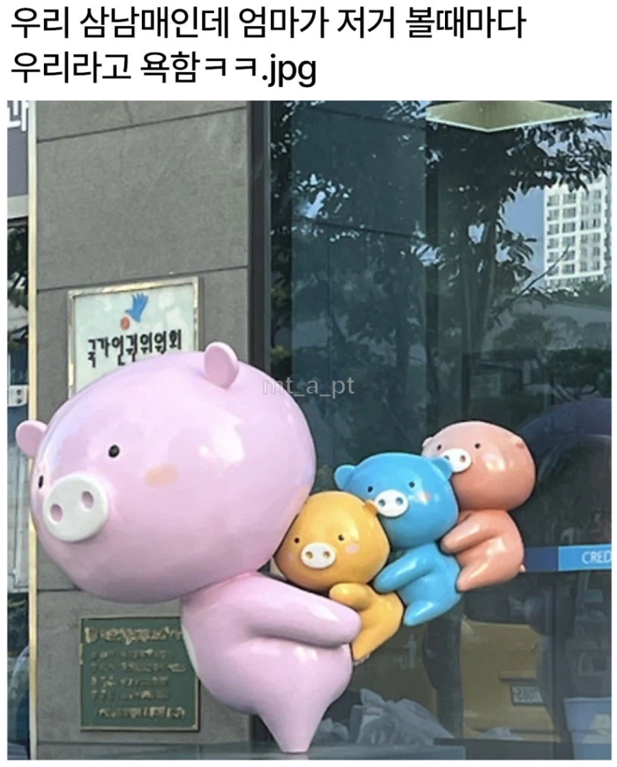 삼남매 엄마가 볼 때마다 욕하는 것_1.webp