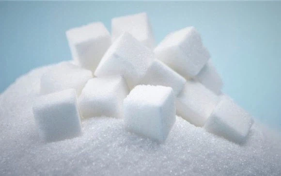 제 2의 흑백요리사를 노리고 만든 제빵 서바이벌 프로그램_4.webp