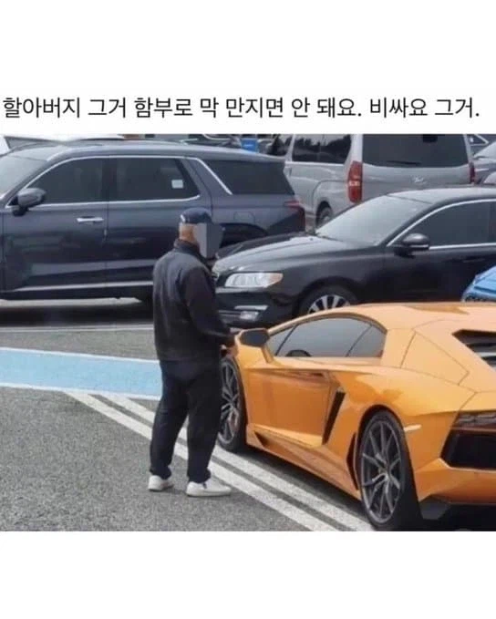 할아버지 그거 비싼차에요! 함부러 만지면 안되요!_1.webp