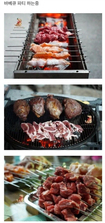 돈있는 주인들의 애견 라이프_5.webp