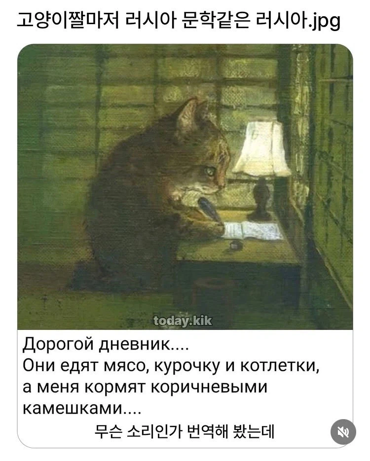 고양이짤마저 러시아 문학같은 러시아 .jpg_1.webp