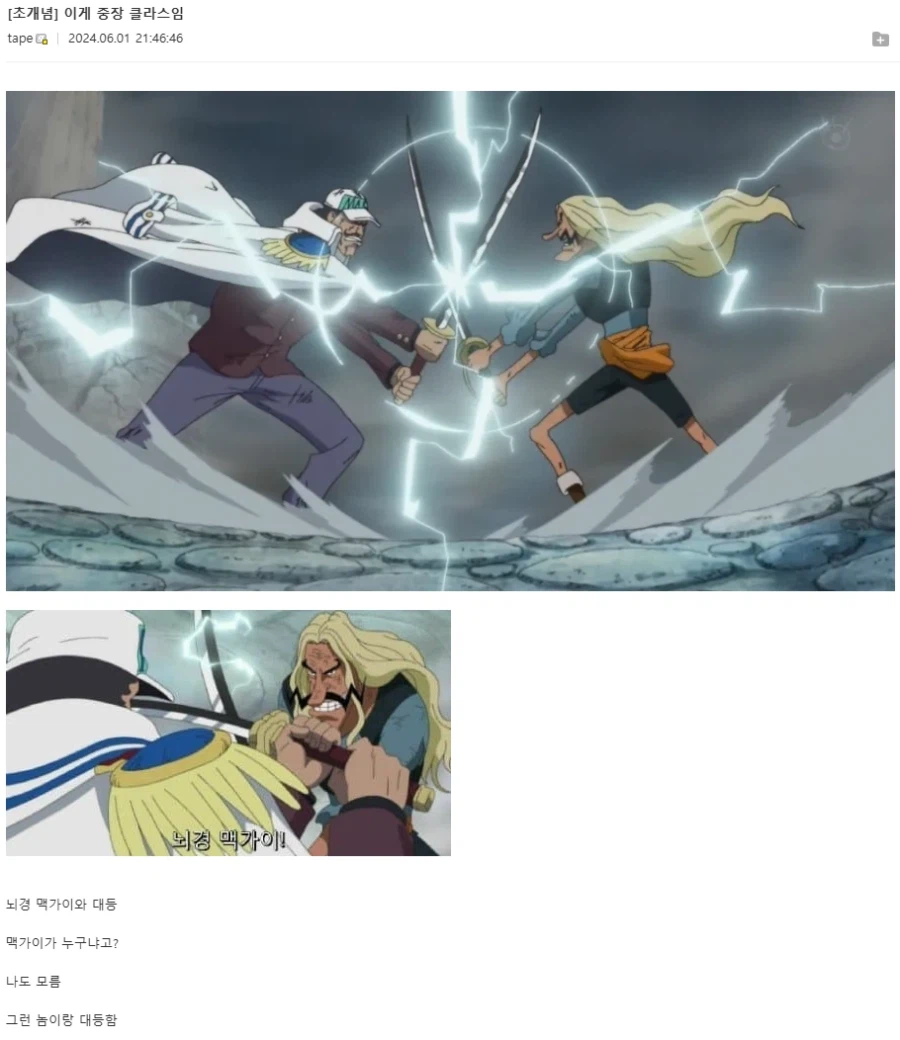 원피스 중장 클라스를 알아보자_1.webp