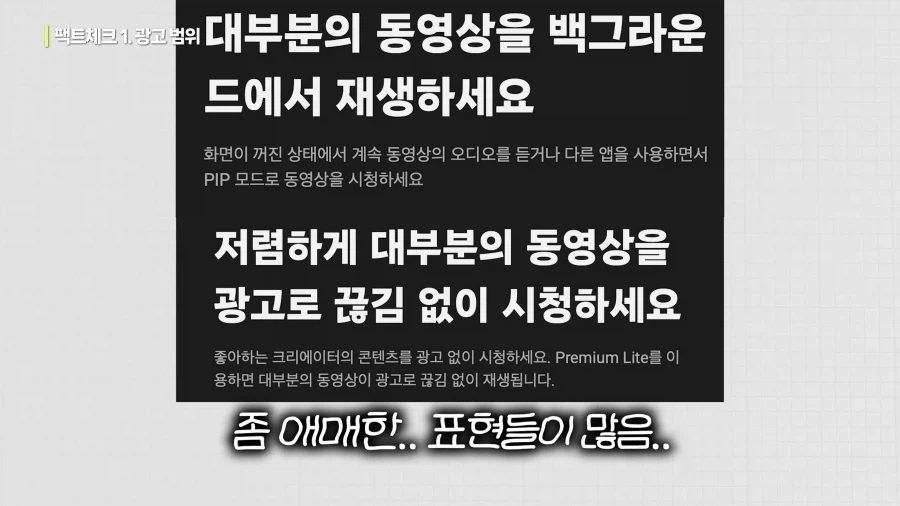 유튜브) 기괴한 유튜브 프리미엄 라이트 요금제_13.webp