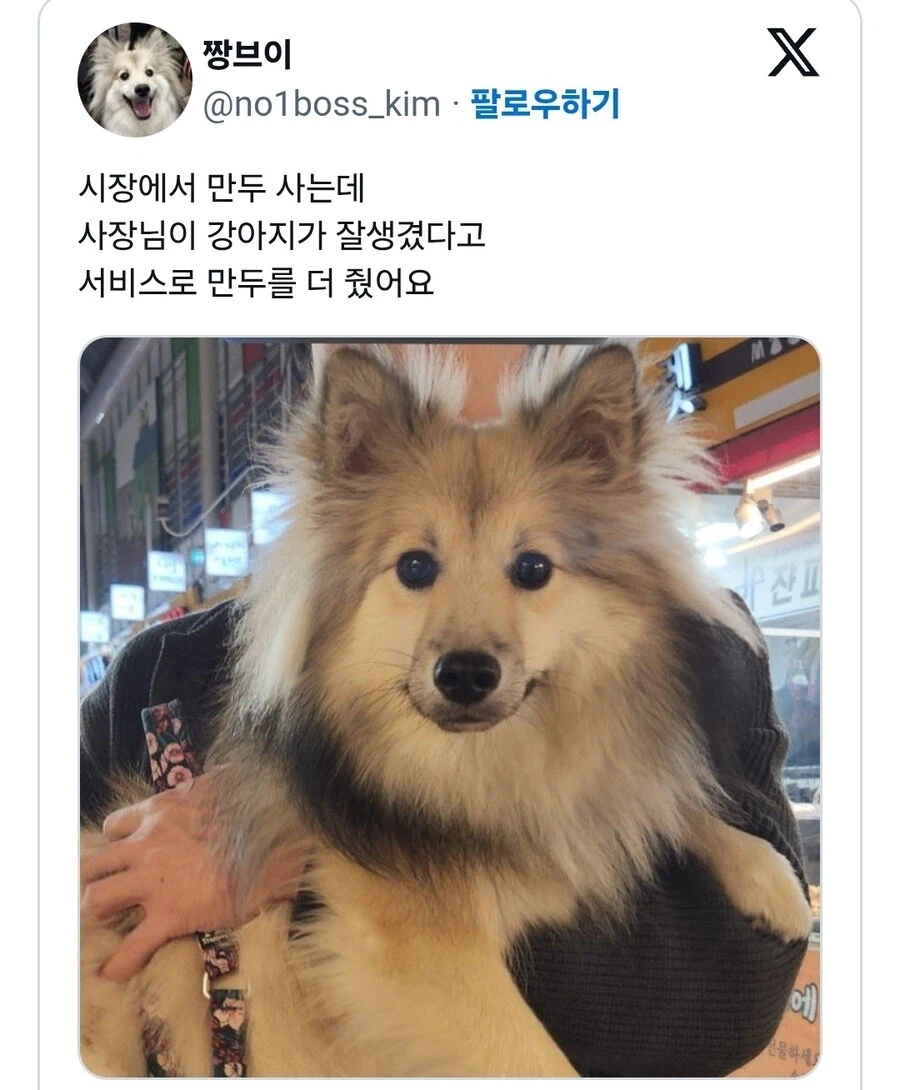 잘생긴 게 이득이라는 건 만물 공통이다_1.webp