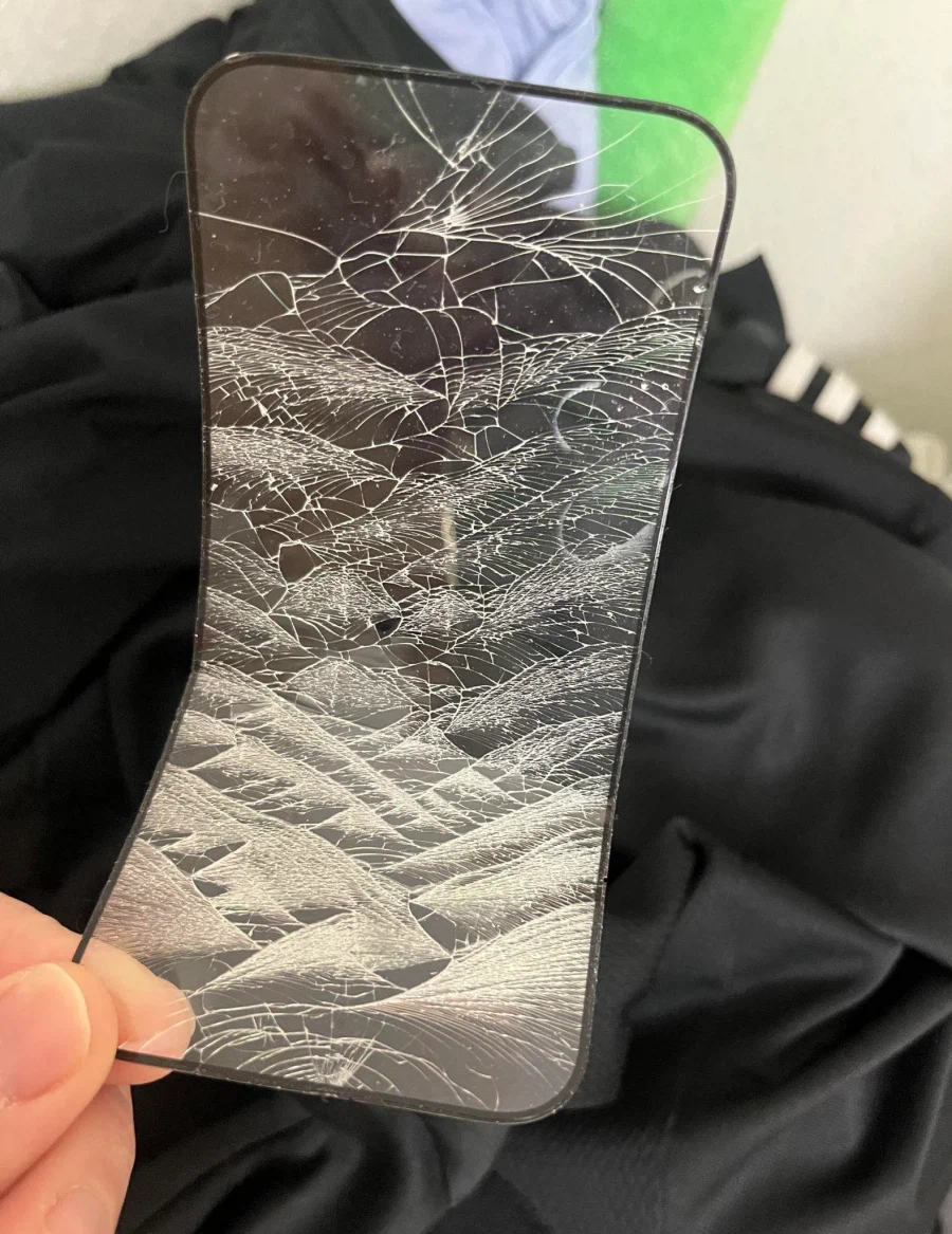 세탁하고 나서 옷 사이에서 나온 것_1.webp