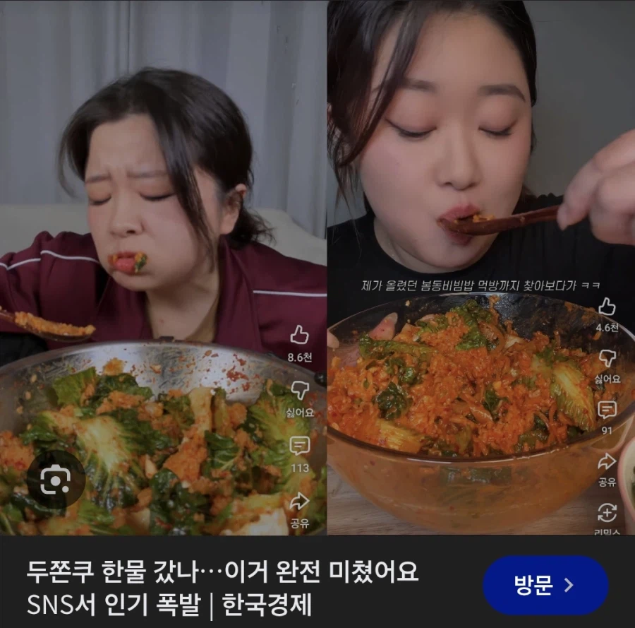 요새는 두존쿠처럼 봄동비빔밥이 유행이라네;;;_1.webp