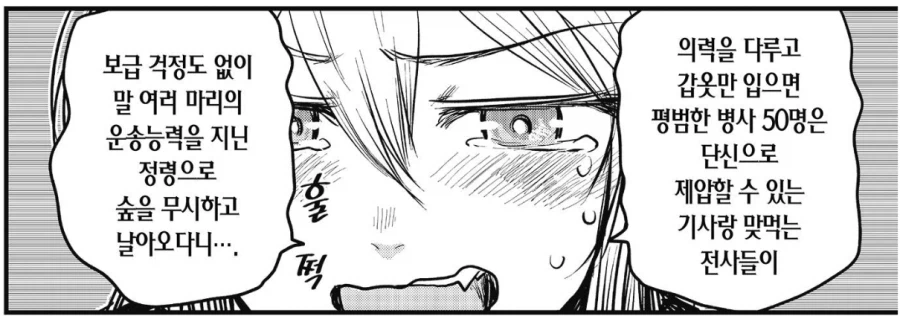 공주기사 : 이 비겁한 야만족 놈들아!_4.webp