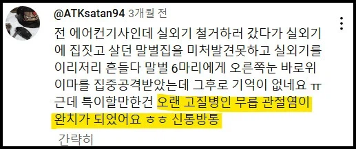 충격적인 말벌에 쏘인 후기_2.webp