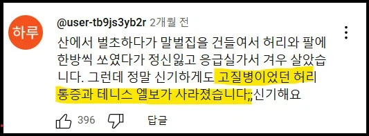 충격적인 말벌에 쏘인 후기_3.webp