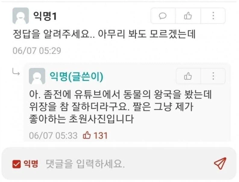 사자의 대단한 위장 능력_2.webp