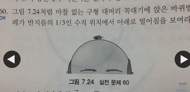 마찰 없는 구형 대머리 꼭대기 바퀴벌레_1.webp