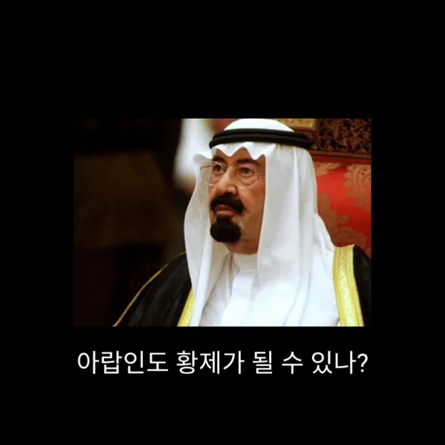 서양사에서 가장 PC한 제국_6.webp