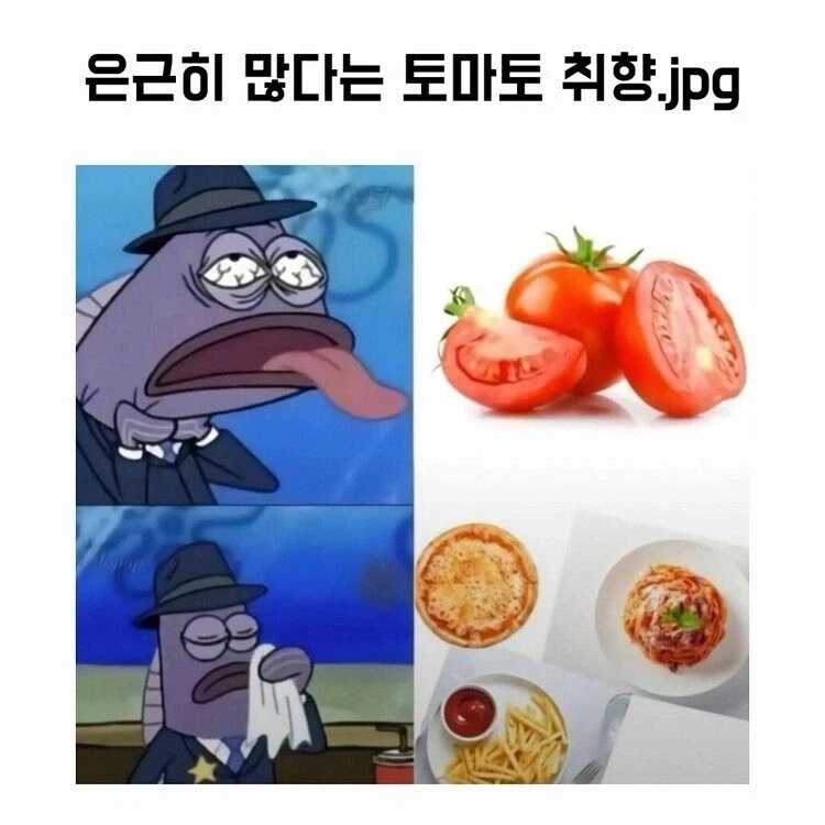 은근히 많다는 토마토 취향_1.webp