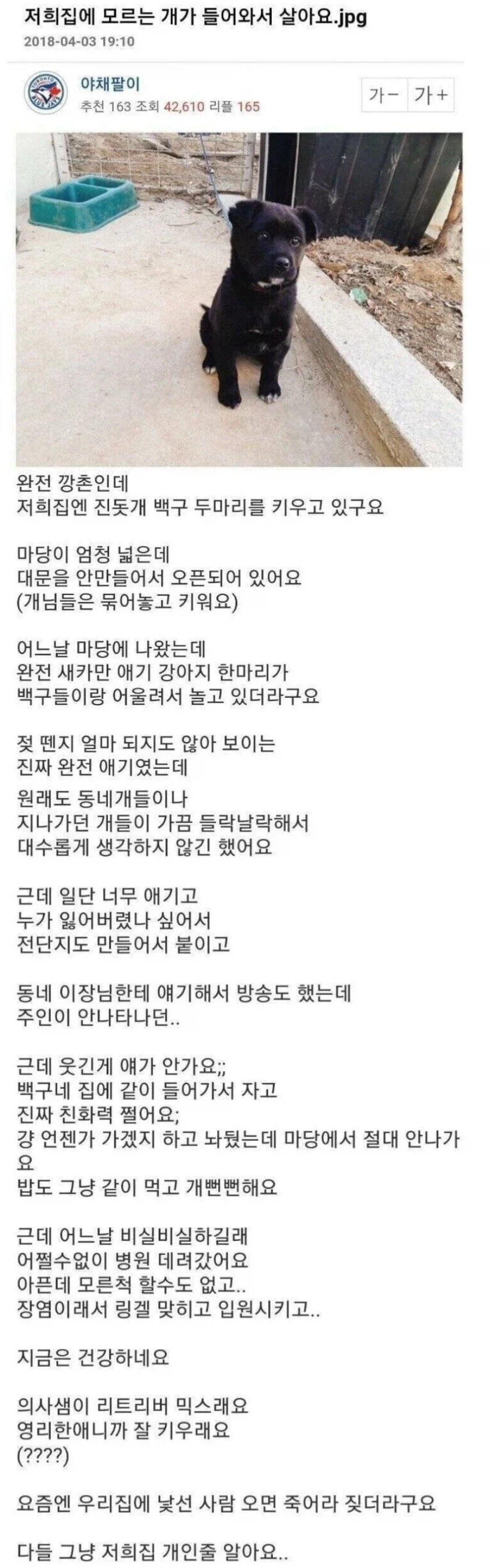 집에 모르는 개가 들어와서 살아요_1.webp
