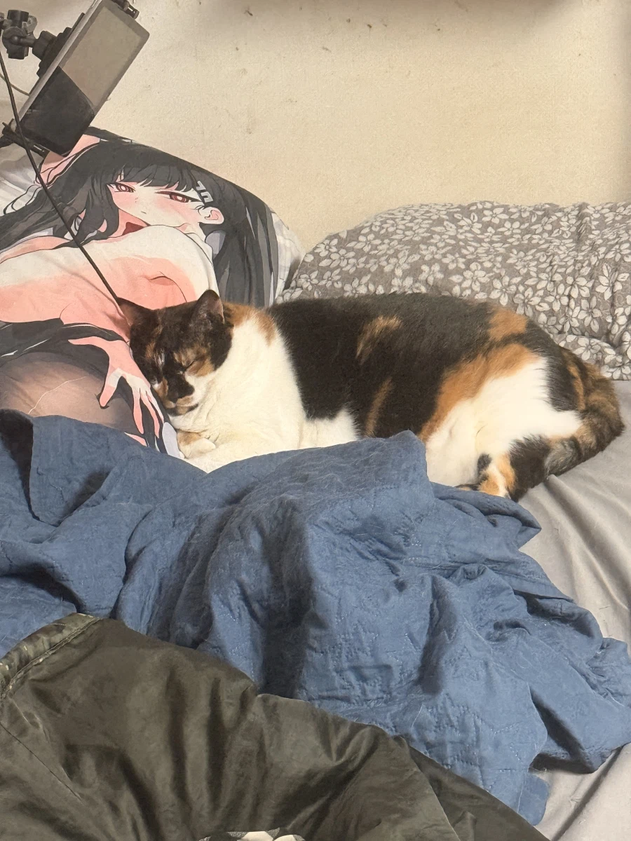 블기견은 결국 지난 시대의 패배자니까 말이지!_1.webp