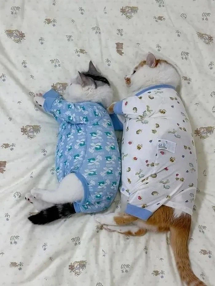 작아진 아기 옷 함부로 버리지 마세요._1.webp