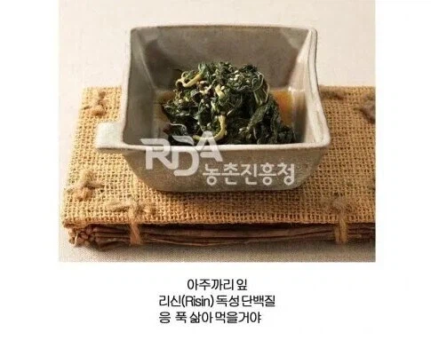 대부분의 한국인이 인지하지 못하는것_2.webp