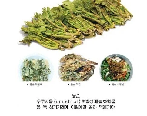 대부분의 한국인이 인지하지 못하는것_3.webp