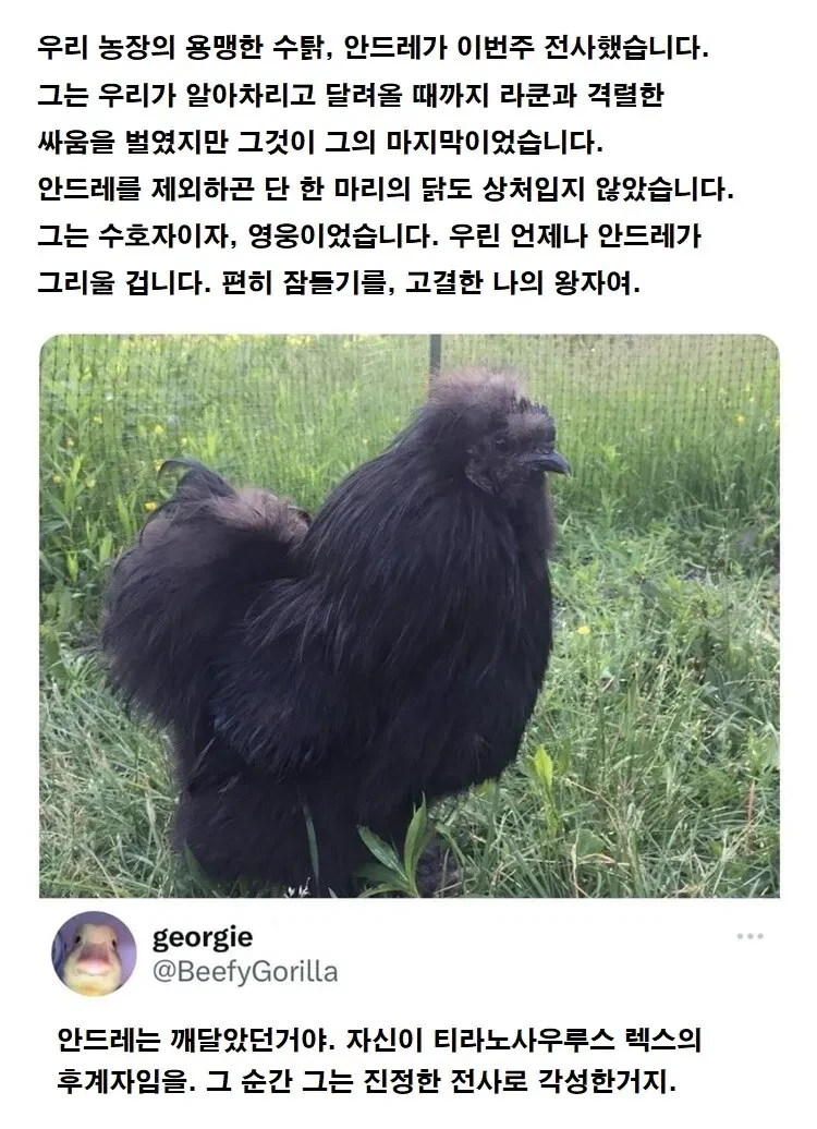 고귀하고 용맹했던 티라노의 후예.jpg_1.webp
