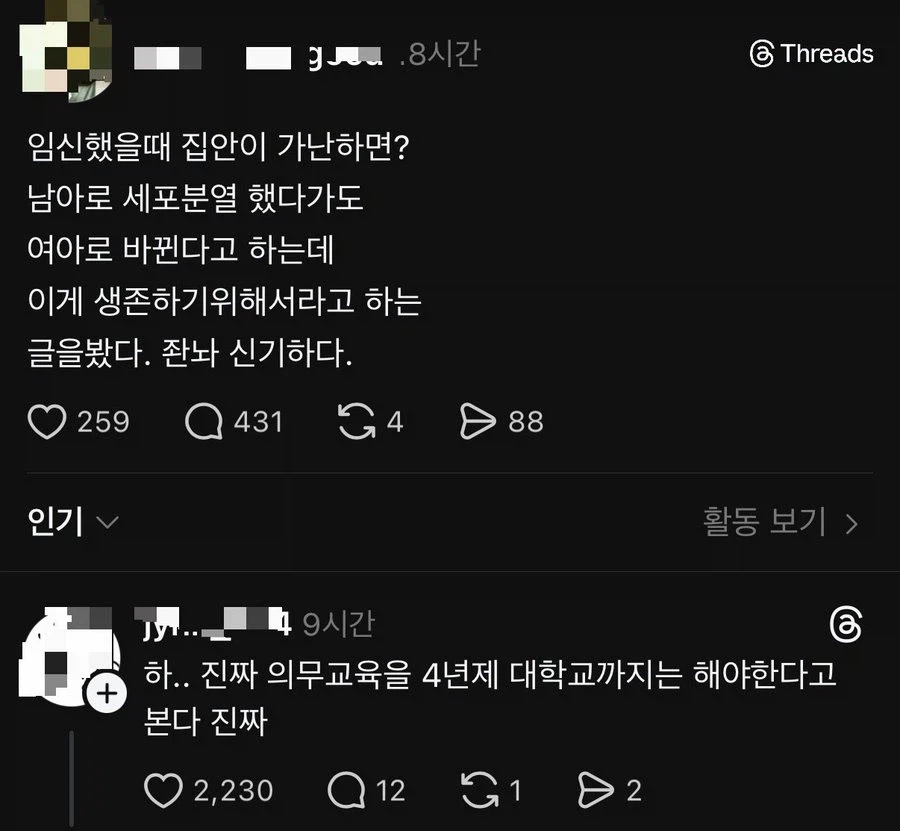의무교육을 대학까지 하자는 사람_1.webp