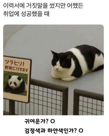 아무튼 취업 성공함_1.webp